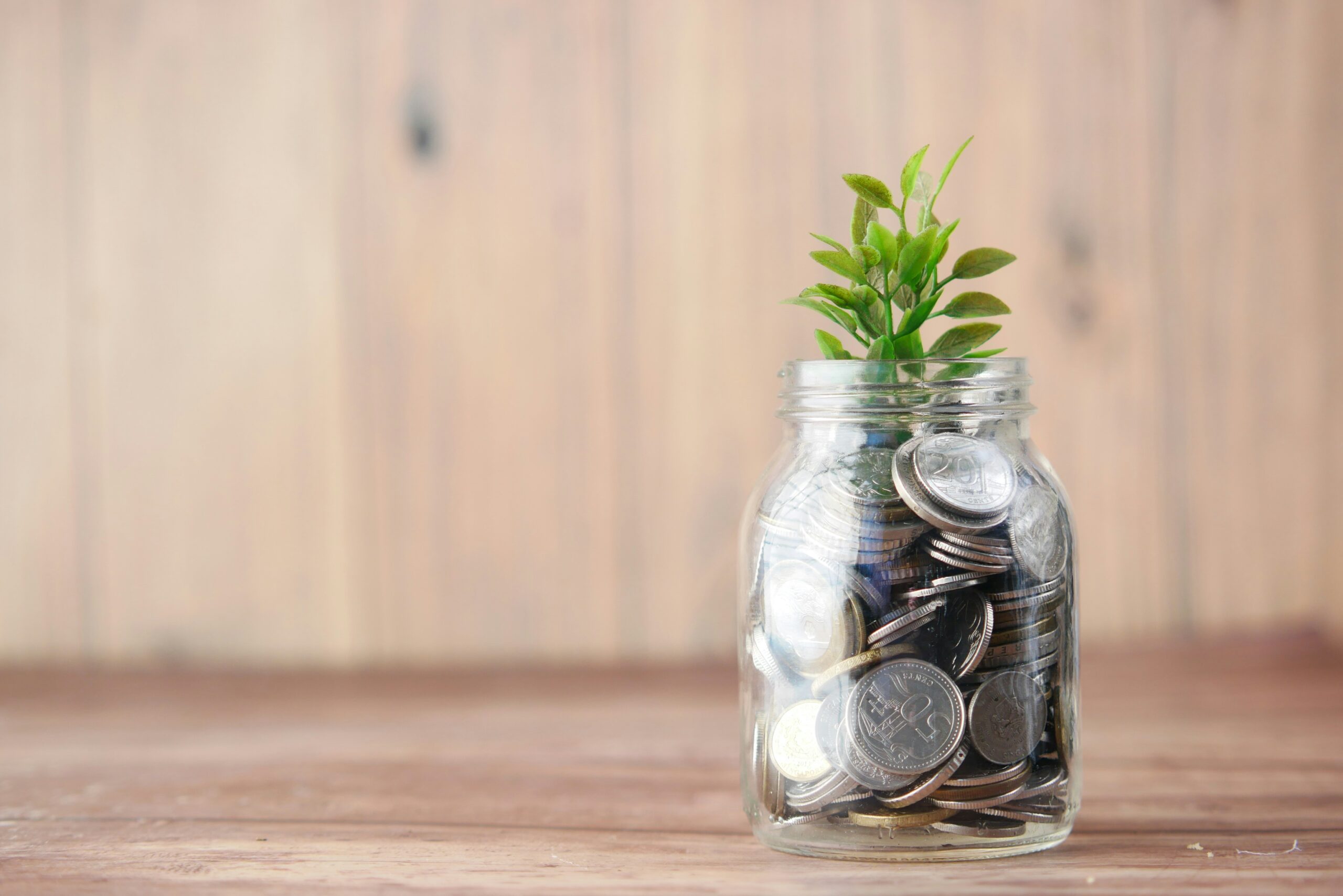 Michael Petruska - financial planning