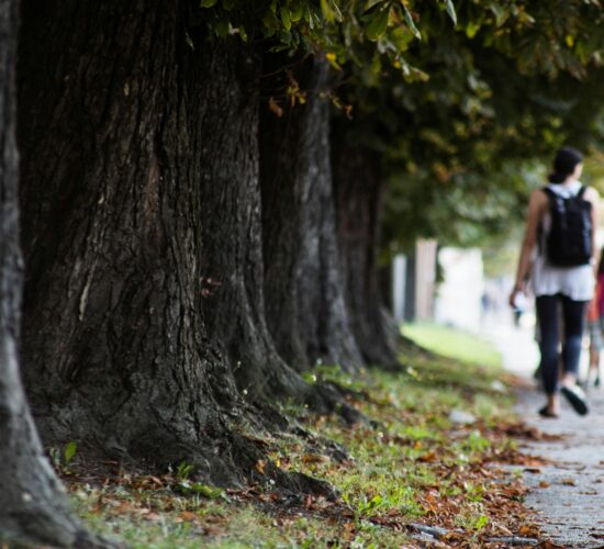 Smart College Planning Tips That Help Students and Parents Succeed