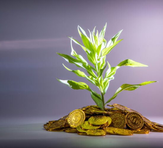 Financial Planning and Investing for a Secure Future A Simple Guide to Growing Your Wealth